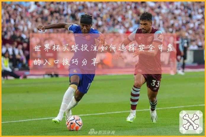 世界杯买球投注如何选择安全可靠的入口技巧分享