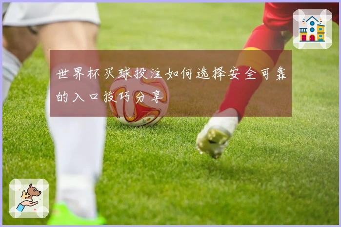 世界杯买球投注如何选择安全可靠的入口技巧分享