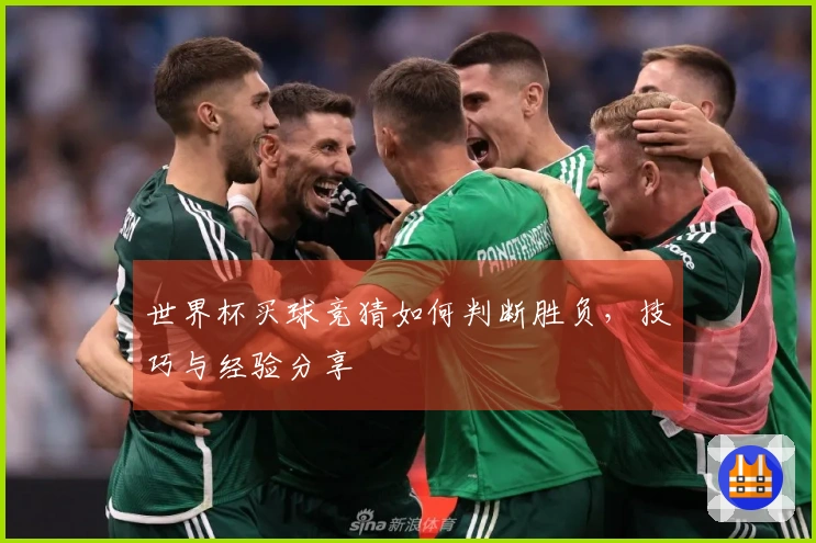 世界杯买球竞猜如何判断胜负，技巧与经验分享