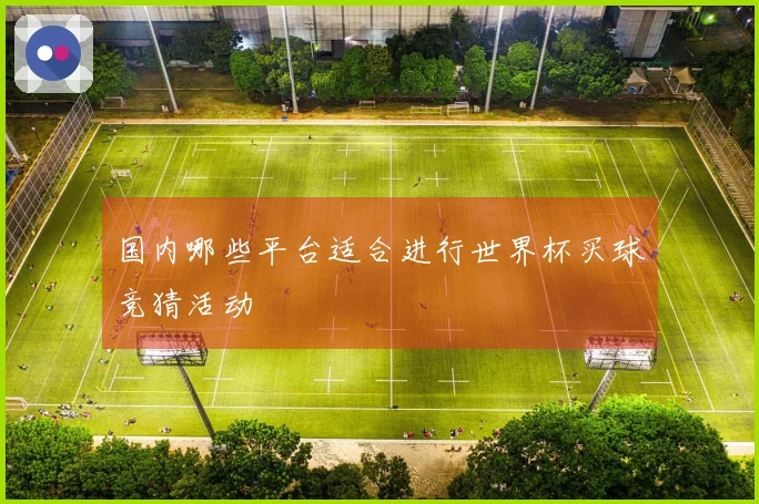 国内哪些平台适合进行世界杯买球竞猜活动