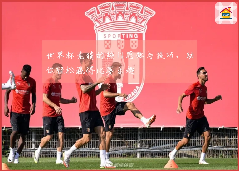 世界杯竞猜的热门思路与技巧，助你轻松赢得比赛乐趣