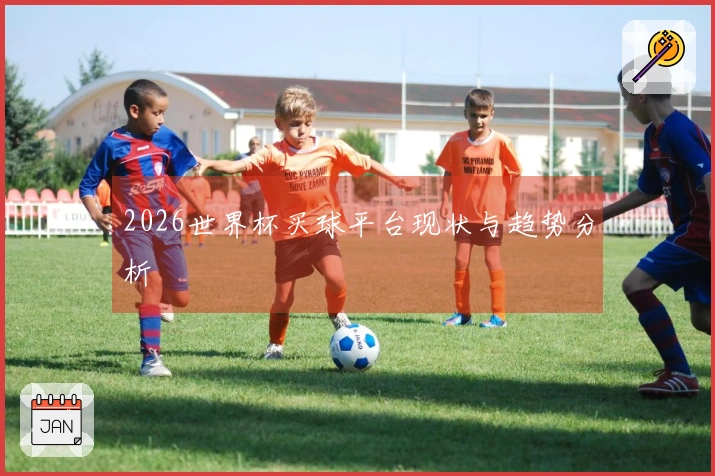 2026世界杯买球平台现状与趋势分析