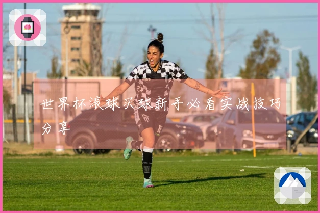 世界杯滚球买球新手必看实战技巧分享