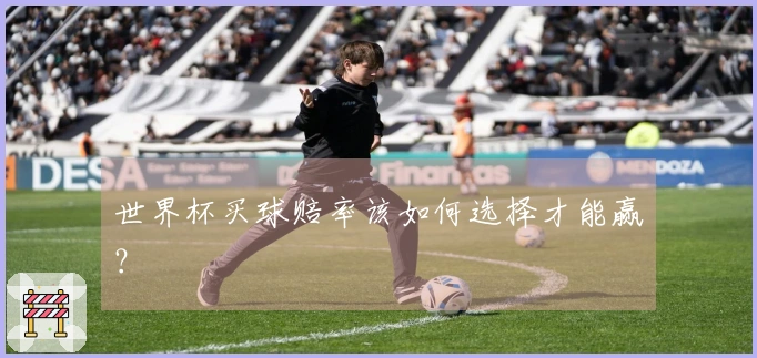 世界杯买球赔率该如何选择才能赢？